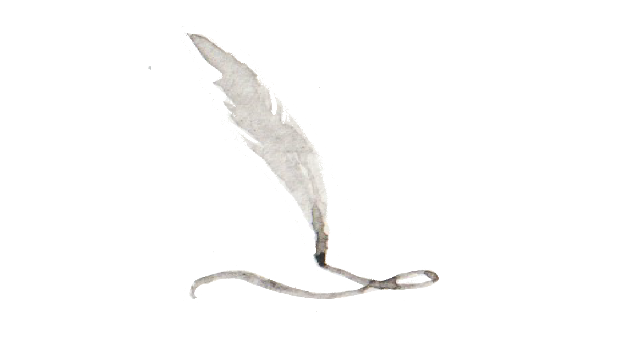 writing icon